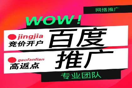 百度推广运营实战经验：案例解析与优化策略